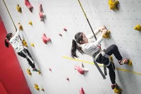 职业玩家的资金管理：为什么 100 个买入是安全线？（职业玩家资金管理指南：为何将 100 个买入视为安全阈值）