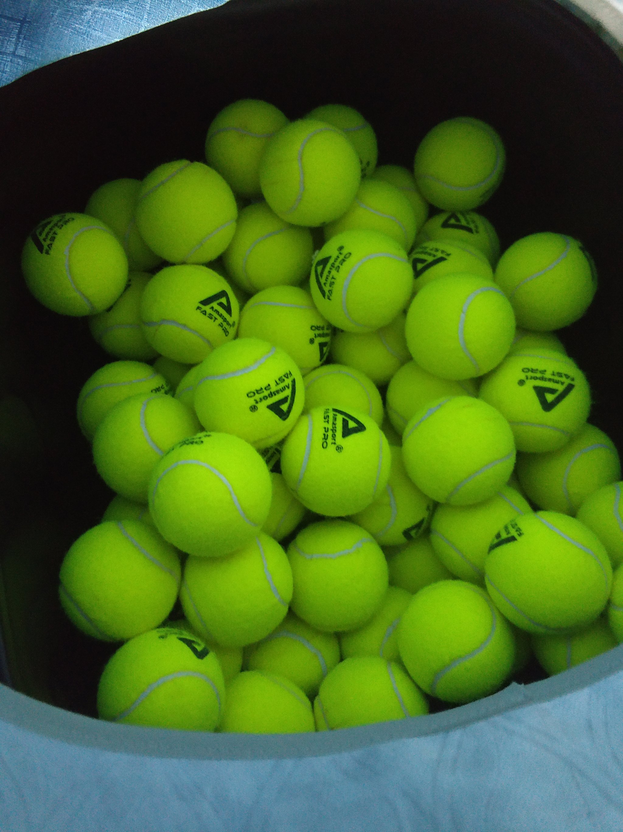 球员们在场 球员们在场