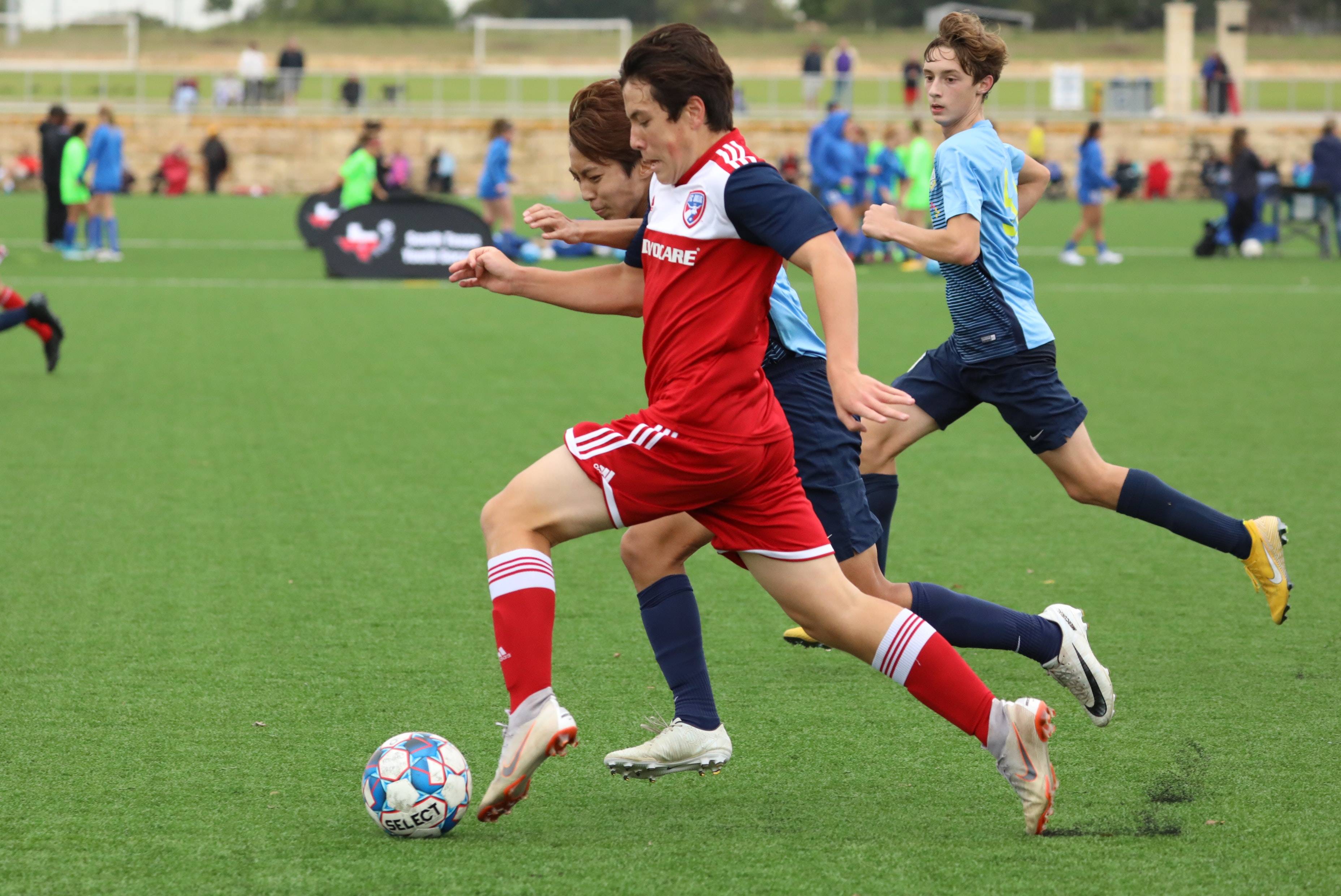 很多年轻球 很多年轻球