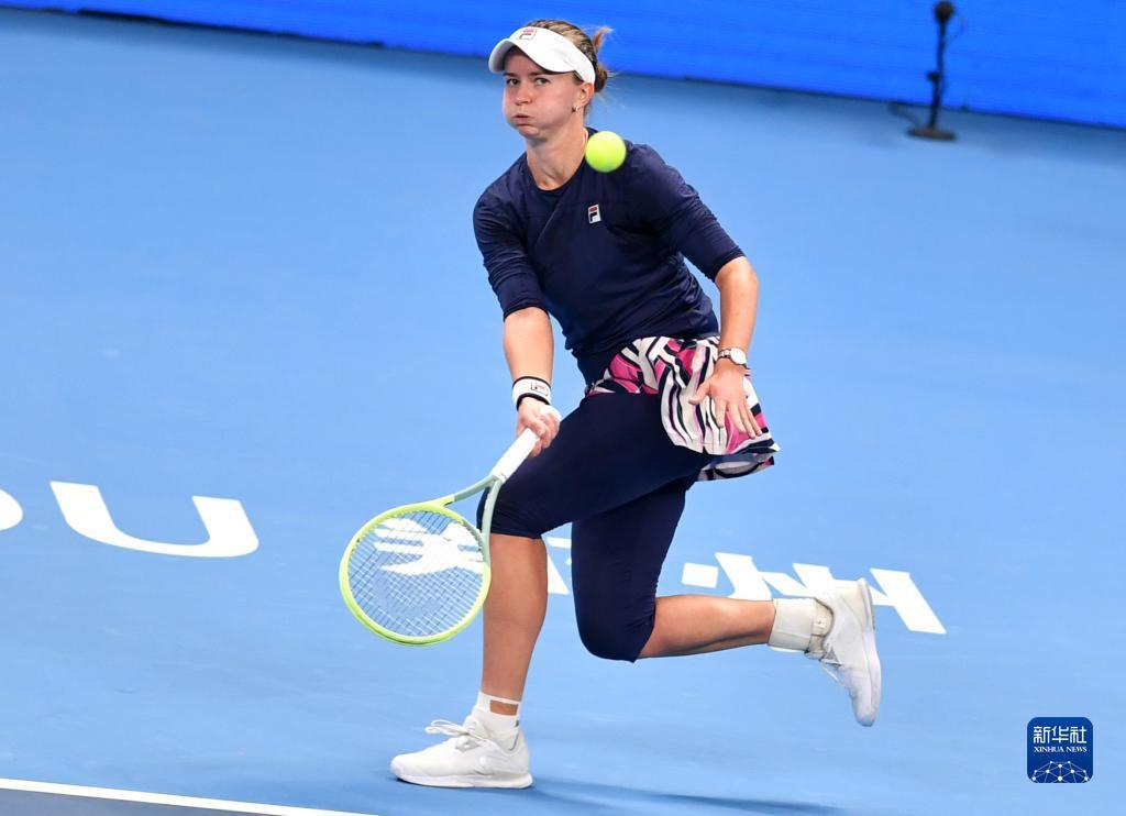 弗赖堡的主 弗赖堡的主